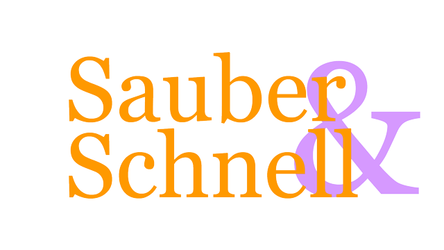 sauberundschnell.de